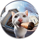 Boss profile picture